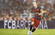 绿军时代更迭，南希教练离任引发凯尔特人战略重构猜想