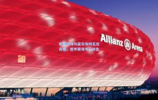 斯图加特与霍芬海姆互交白卷，德甲赛场平分秋色