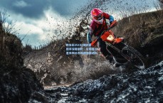 胜负彩25191期欧亚赔率深度剖析，尼斯盘口差异揭示市场博弈新动向