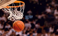 斯波尔斯特拉就赛事延期发表看法，热火训练馆曾有类似经历，通常15分钟即可解决